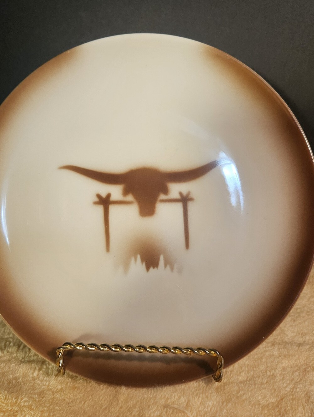Vintage Embassy USA Vitrified China 8” Salad Lunch Plate Western Longhorn Steer